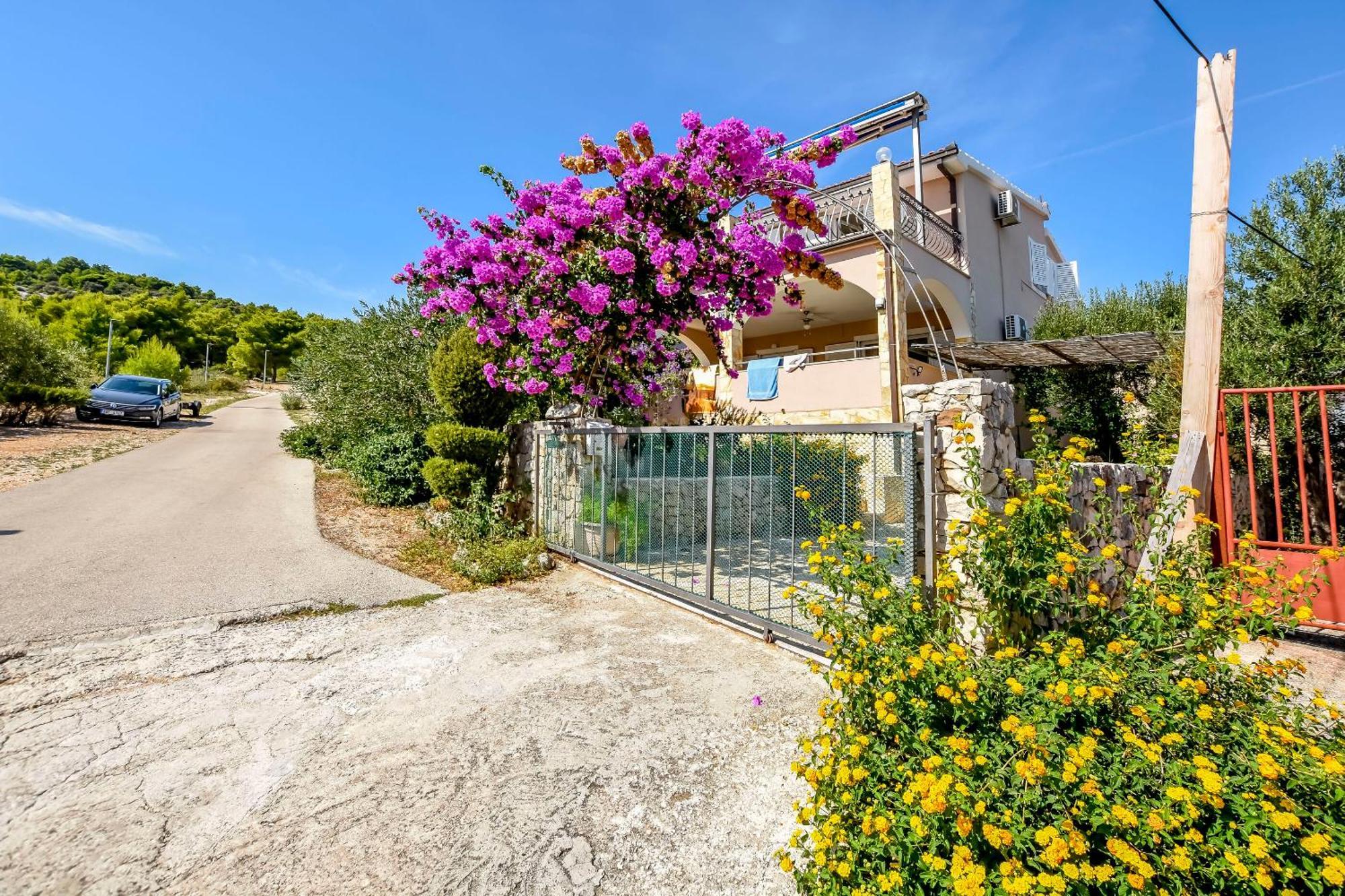 Apartments Branko Razanj Luaran gambar